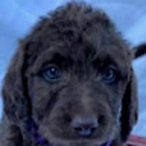 Meet your Posher, Mindy